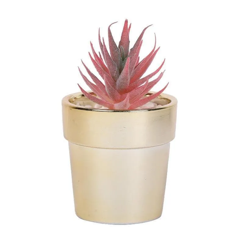 Faux Pink Agave In Ceramic Pot - 16.5 cms media 3