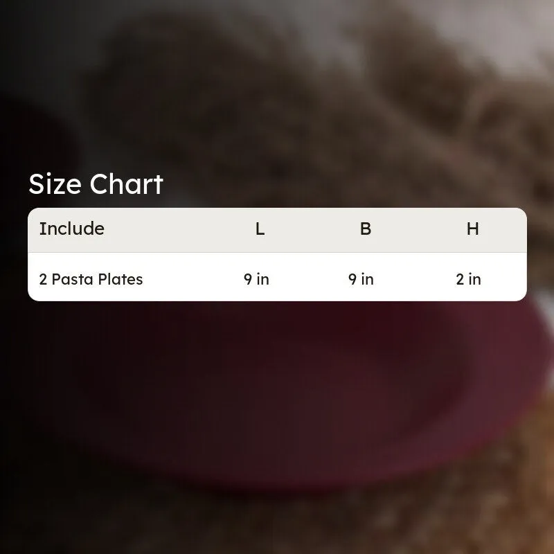 Rubeena Maroon Pasta Plate - Set Of Two media 5