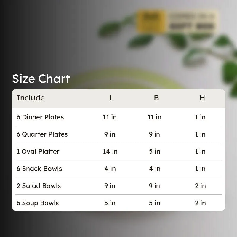 Dinner set size chart showing plates, platter and bowl dimensions