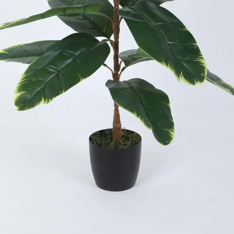 Faux Yellow Rubber Plant With Black Plastic Pot - 2.46 ft media 6