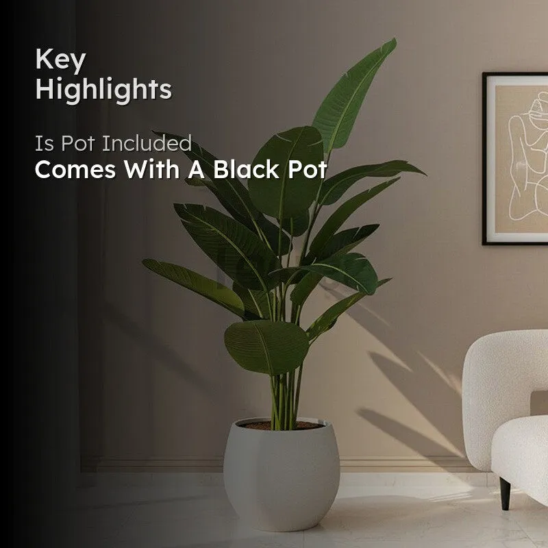 Faux Tropical Bird of Paradise Plant With Black Plastic Pot - 4.9 Feet - 2