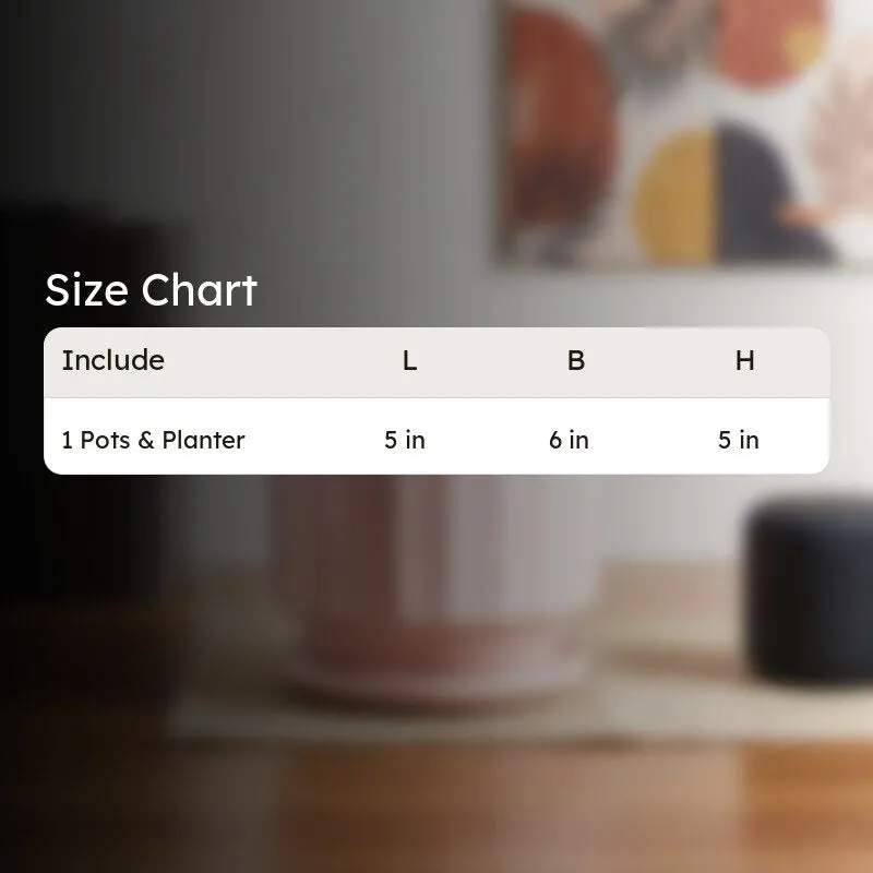 Lexie Ceramic Planter - Pink media 8
