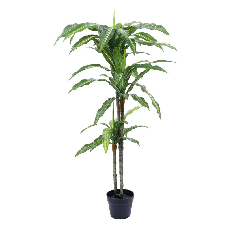 Artificial Realistic Dracaena Plant With Black Plastic Pot - 3.9 Feet media 3