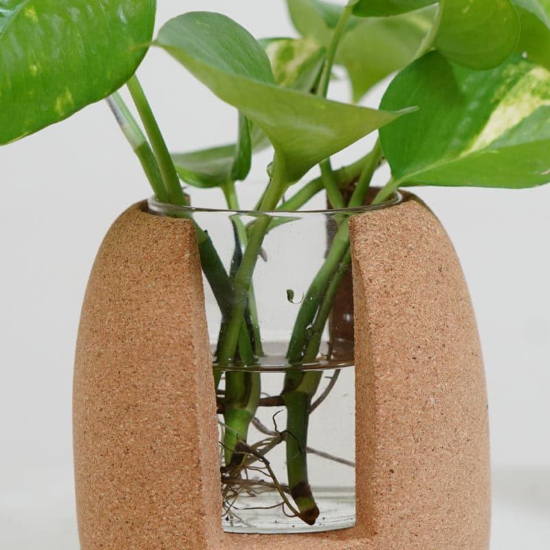 Nadae Cork Testube Planter