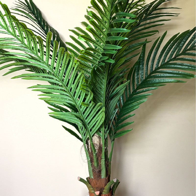 Areca Palm Artificial Plant With Black Plastic Pot - 170 cm (5.6 ft) media 7