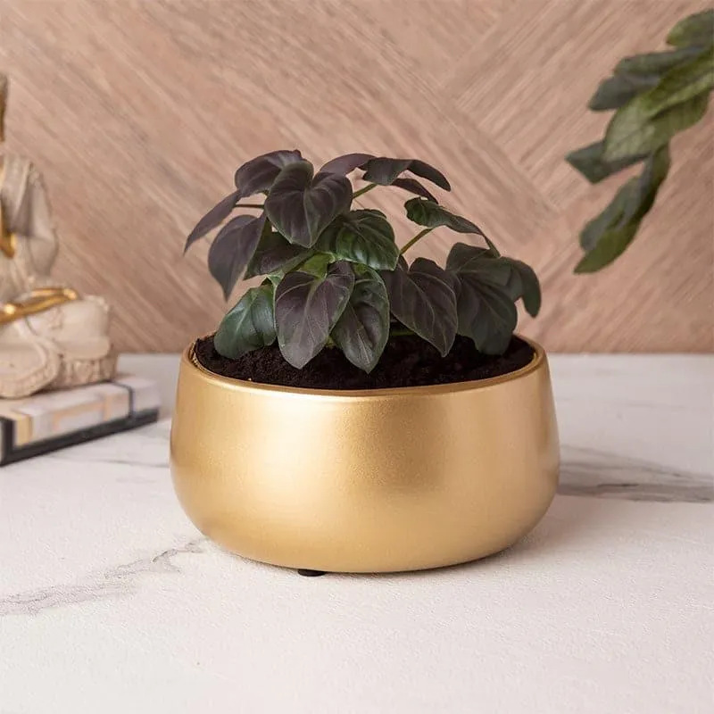 Bram Metal Pot media 3