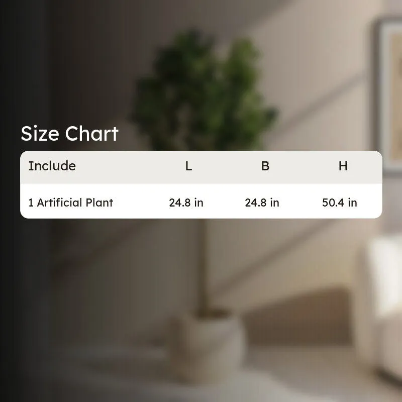 Modern Lush Southern Magnolia Plant without Pot - 4.2 Feet media 9