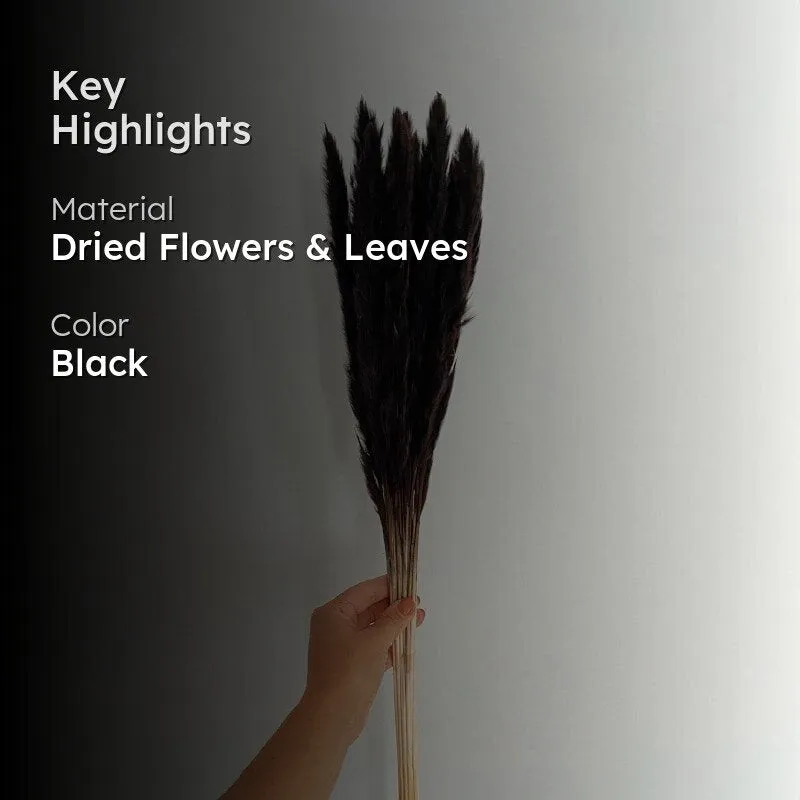 Mini Naturally Dried Pampas Stems (Black) - Set Of Ten media 2