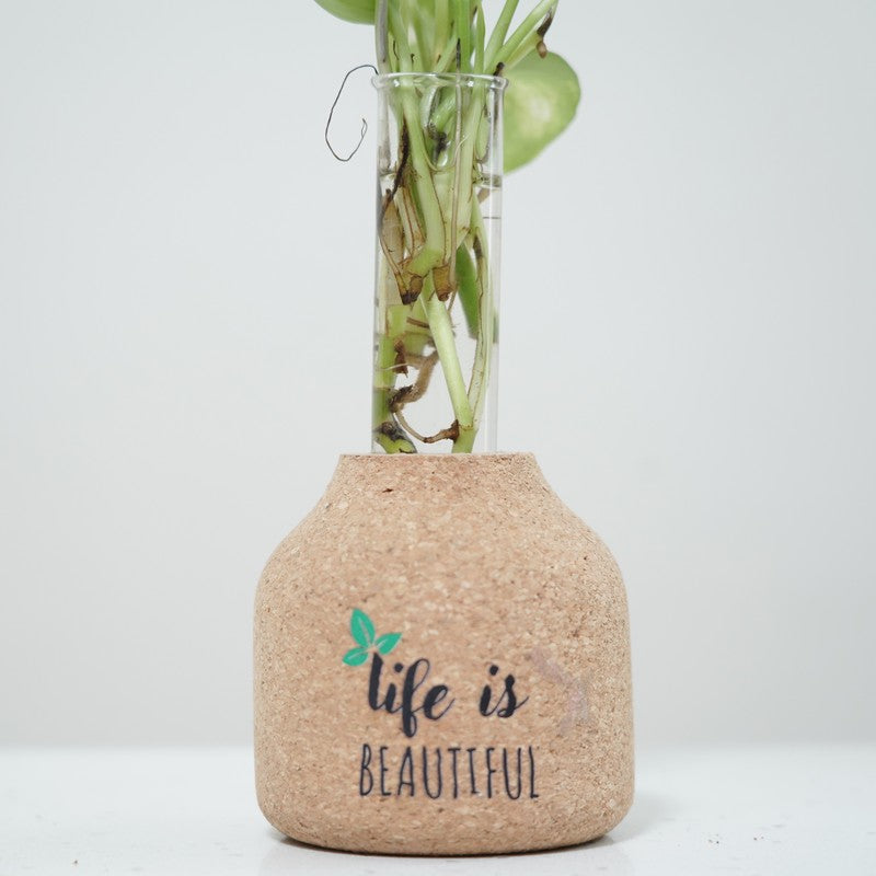 BloomEdge Home Planter - Two Piece Set media 4