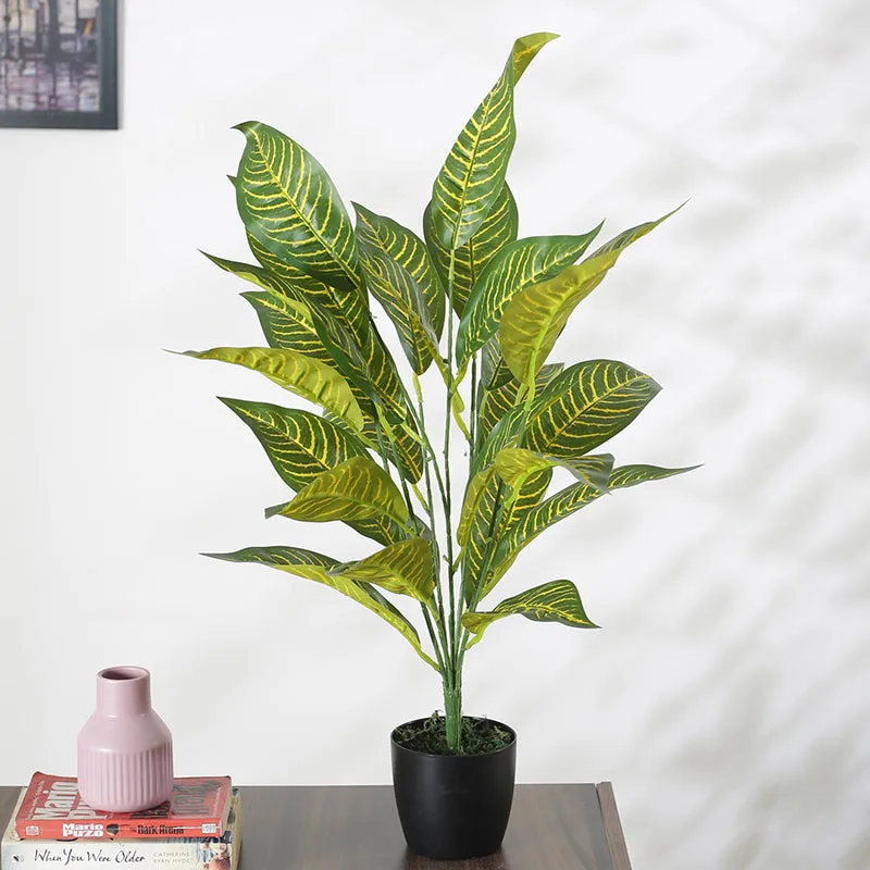 Faux Gold Dust Croton Plant With Black Plastic Pot - 2.2 Feet media 3
