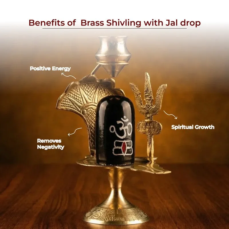Mahadev Blessings Brass Idol media 5