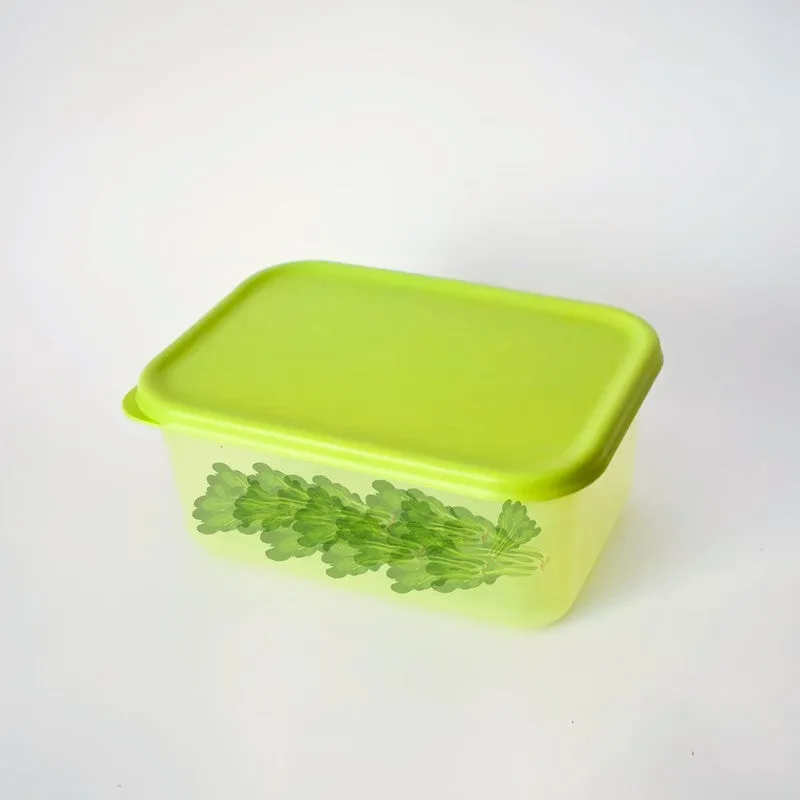 Elvya Compact Container (1500 mL Each) - Set Of Two media 5