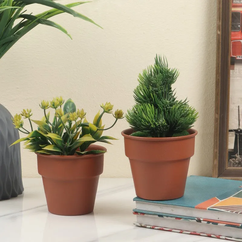 BloomNest Garden Iron Pot - Set Of Two media 3