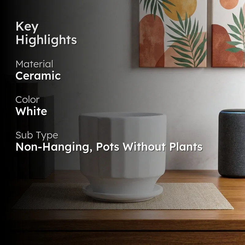 Lexie Ceramic Planter - White media 2
