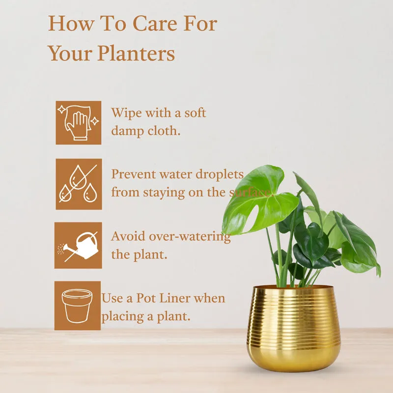 Auric Metal Golden Ribbed Planter - Set Of Two media 5