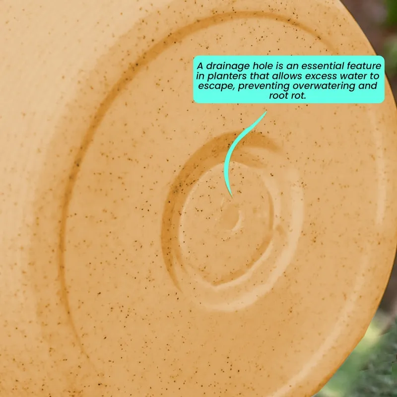Close-up view of the inside base of the brown planter.