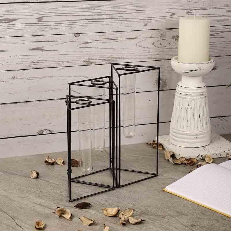 Trigonometry Testube Planter media 4