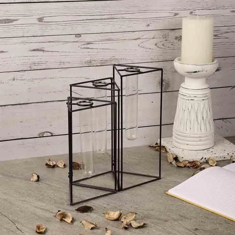 Trigonometry Testube Planter media 4