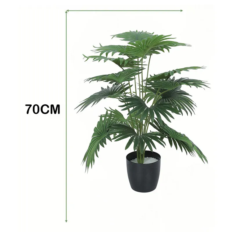 Fanette Artificial Palm With Black Plastic Pot - 2.5 Feet media 6