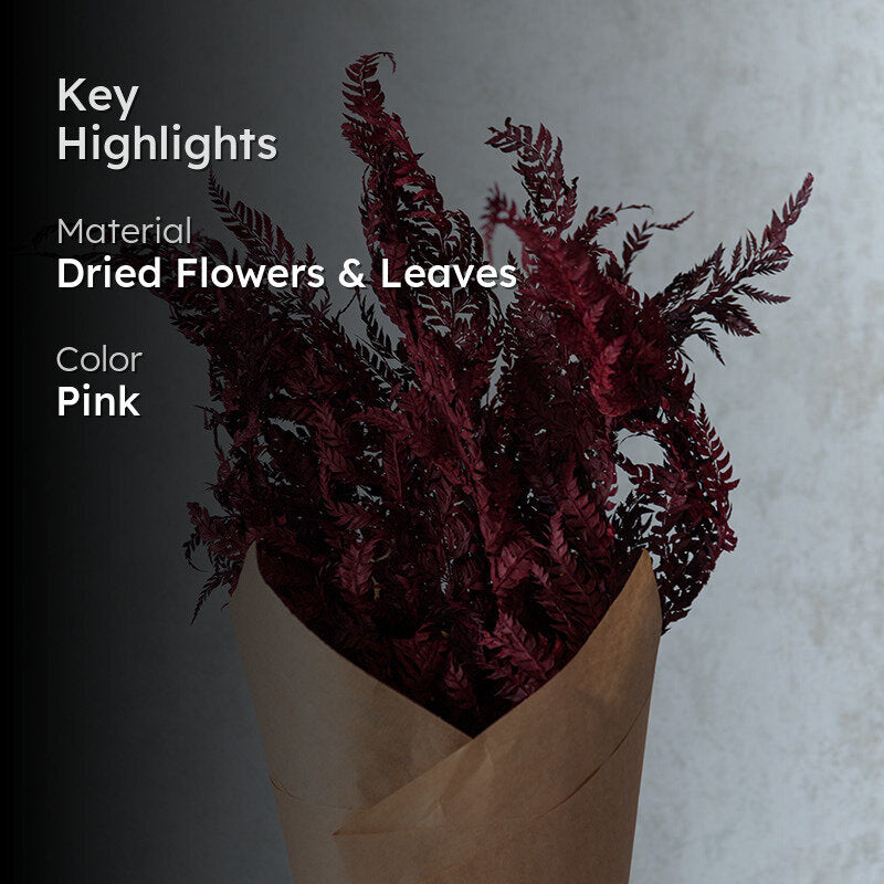 Astridae Dried Fern Leaf (Dark Pink) - Set Of Twelve media 2