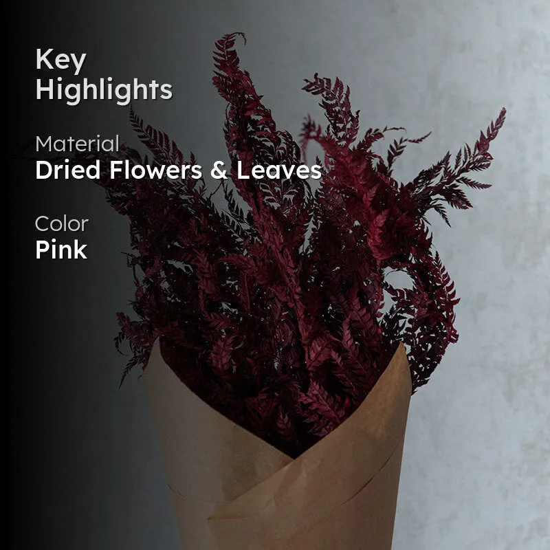 Astridae Dried Fern Leaf (Dark Pink) - Set Of Twelve media 2