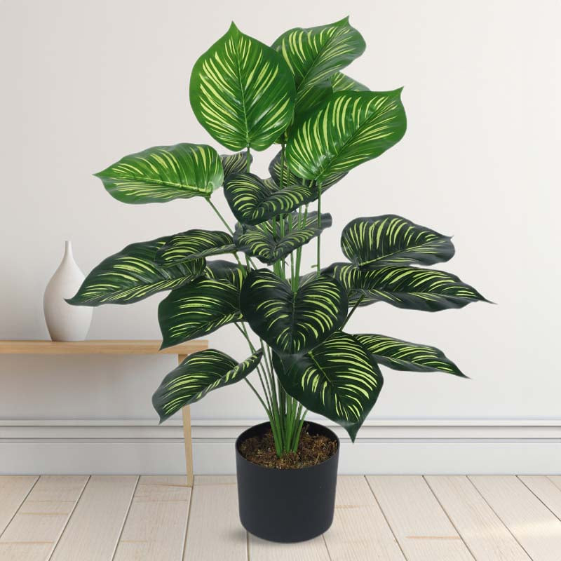 Faux Lush Peperomia Plant With Black Plastic Pot - 2.6 Feet media 3