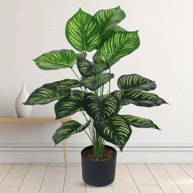 Faux Lush Peperomia Plant With Black Plastic Pot - 2.6 Feet media 3