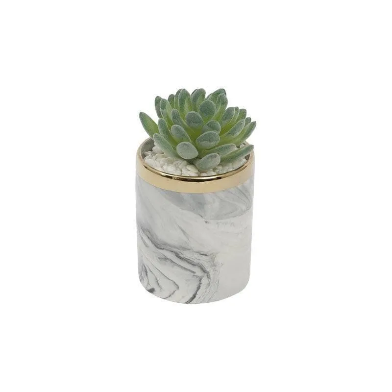 Faux Gasteria In Marble Pot - 22 cms media 4