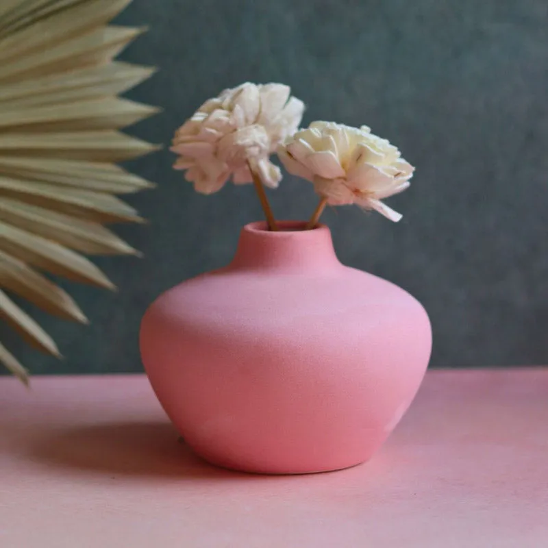 Pink rounded ceramic vase holding two pale flowers