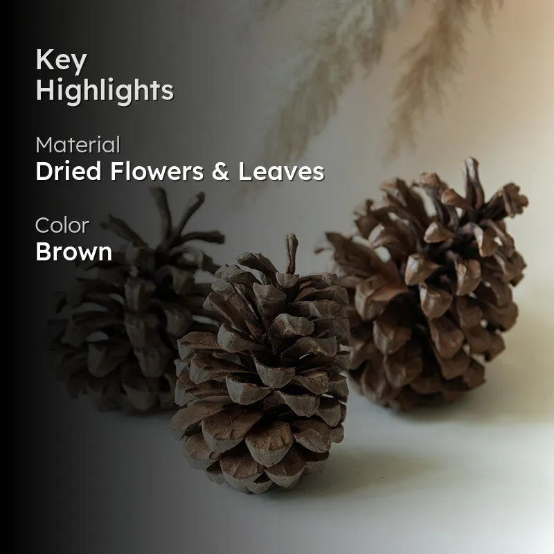 Alpine Dried Jumbo Pine Cone - Set Of Three media 2