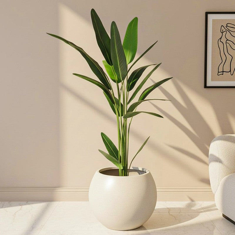 LioraLeaf Artificial Banana Plant With Black Plastic Pot - 4.1 Feet
