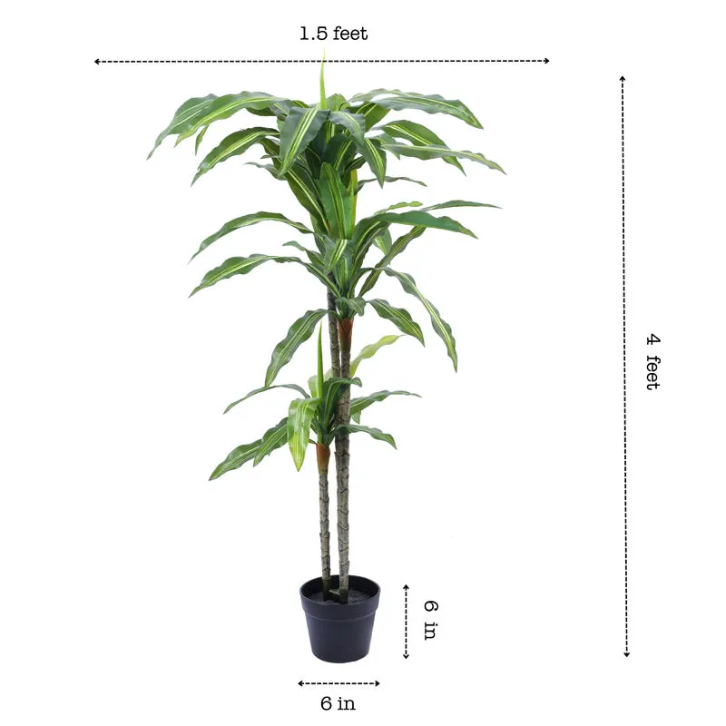 Artificial Realistic Dracaena Plant With Black Plastic Pot - 3.9 Feet media 7