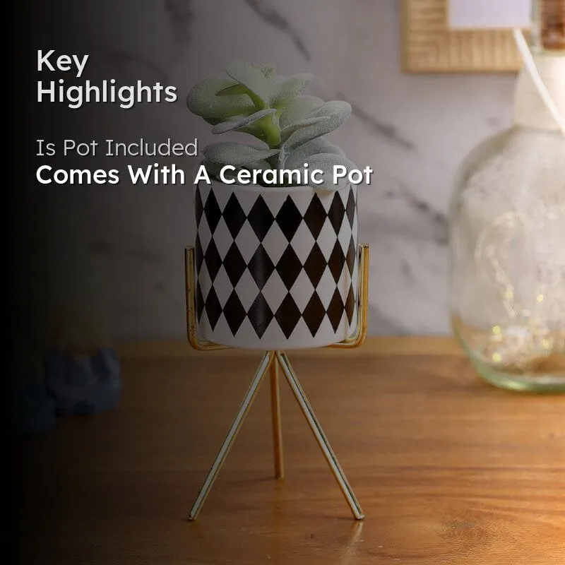 Faux Succulent In Checkered Pot With Tripod - 20 cms media 2