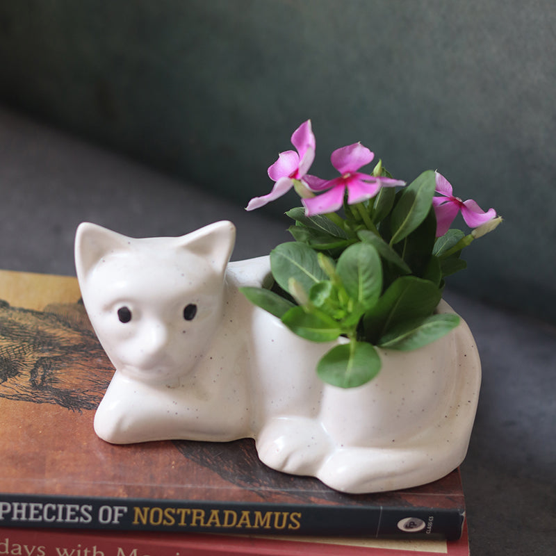 Meow Ceramic Planter media 2