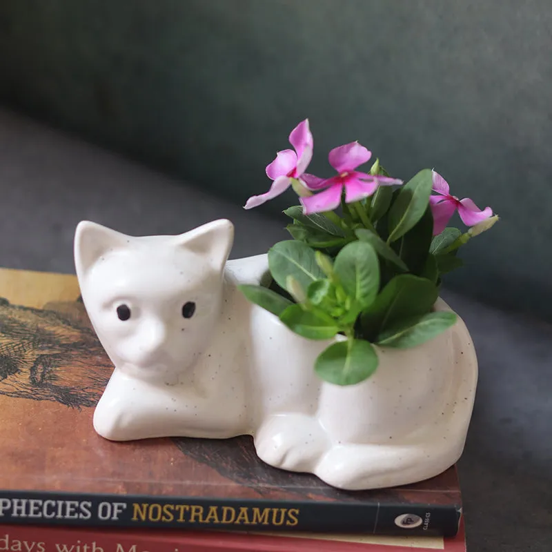 Meow Ceramic Planter media 2