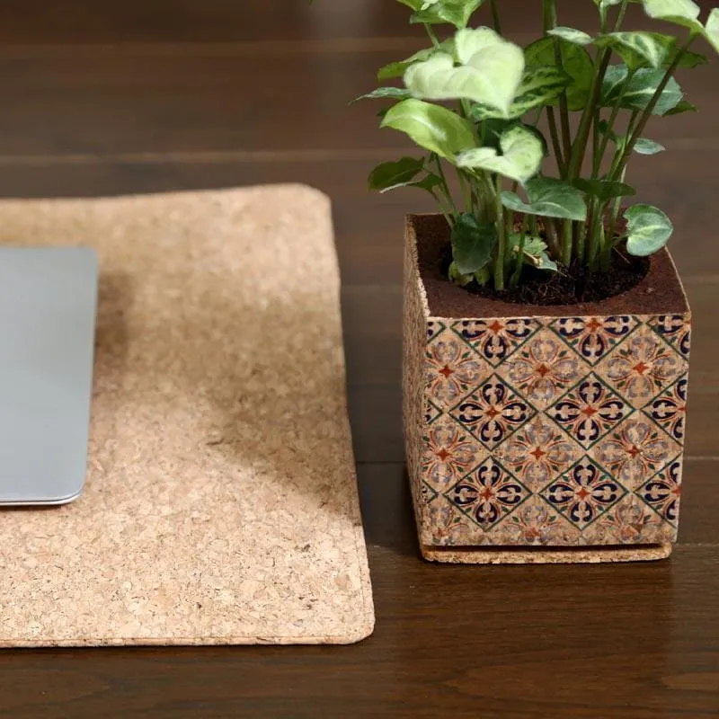 Wooden Cork Dreamy Planter media 6