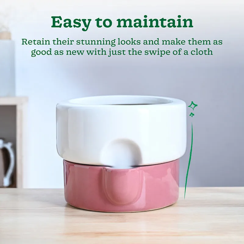 Ugaoo Lady Leafington Ceramic Planter - White & Pink media 4