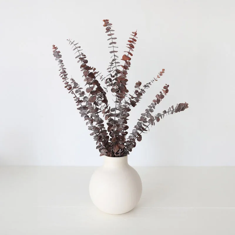Eumo Dried Eucalyptus Leaf - Set Of Five media 1