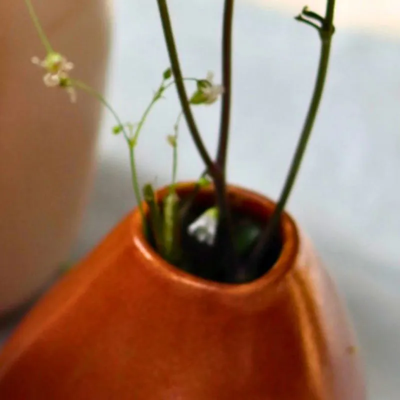 Fabiola Ceramic Vase media 5