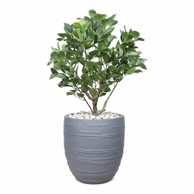 Calmora Floor Planter - Grey media 8