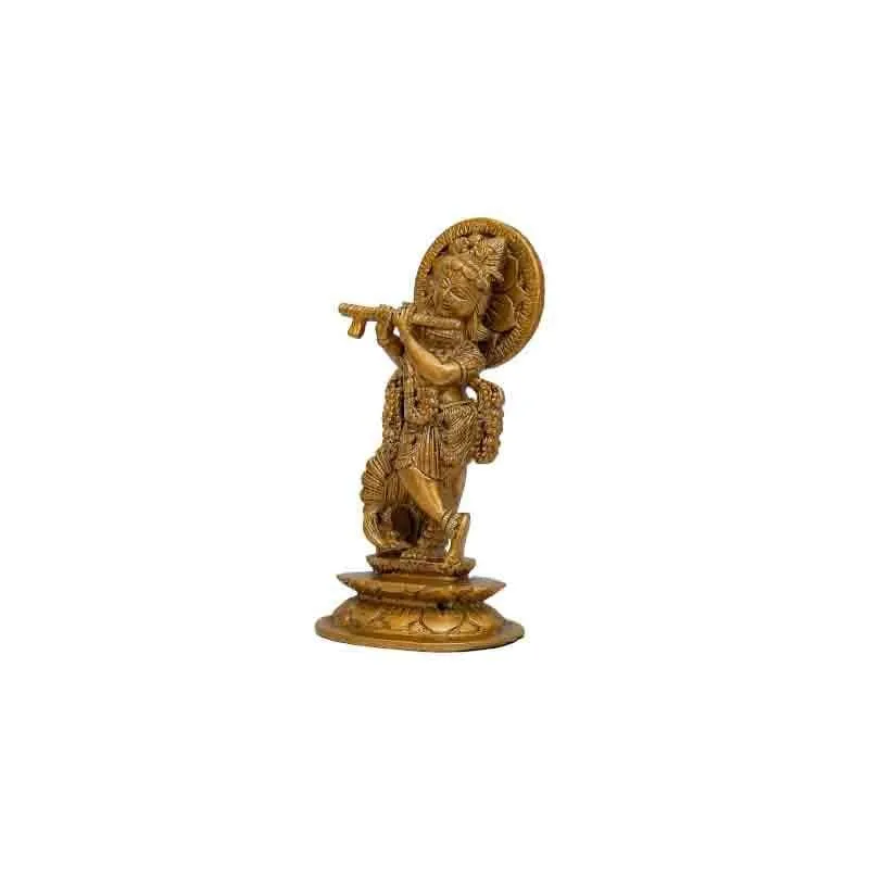 Krishna Murari Idol media 4