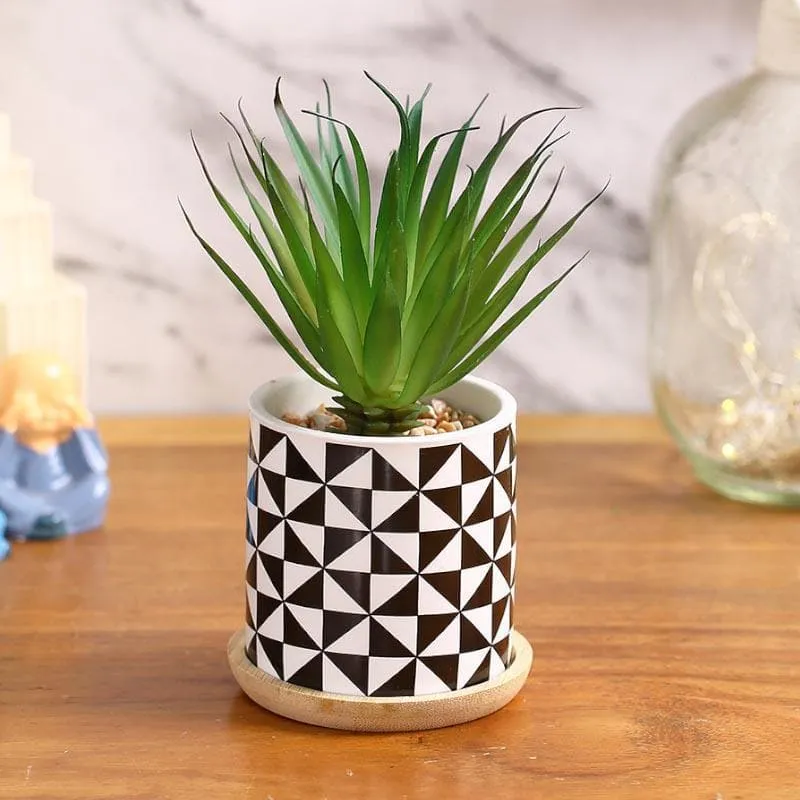 Faux Agave In Patterned Pot - 17.5 cms media 1
