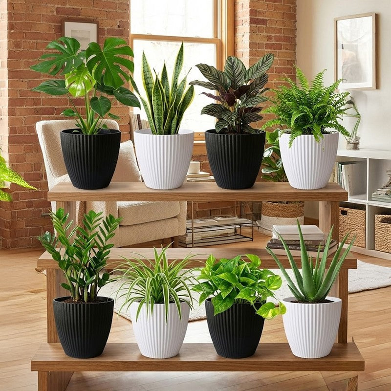 Arelis Textured Melamine Planter - Set Of Eight media 4