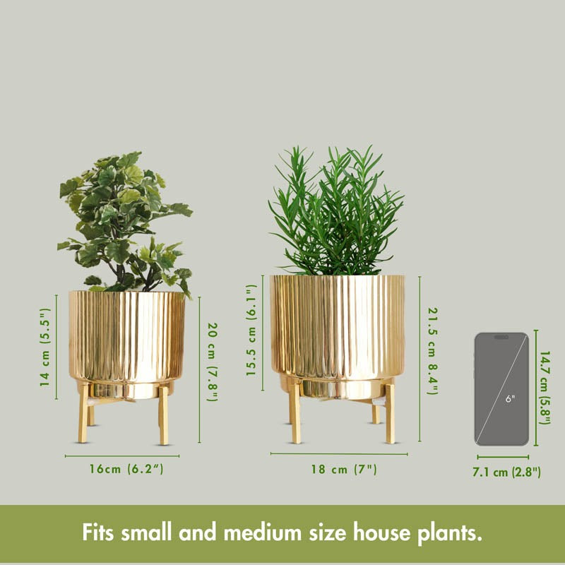 Royale Golden Metal Fluted Planter - Set Of Two media 7