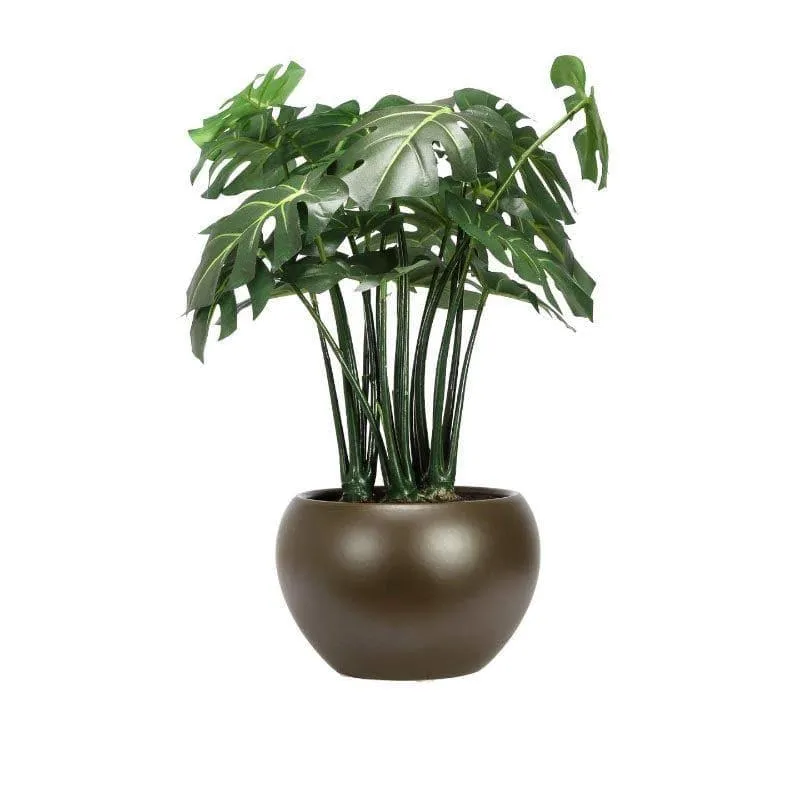 Faux Philodendron Bonsai In Ceramic Pot - 37 cms media 4