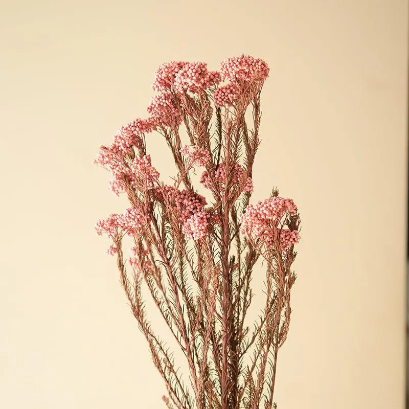 Artificial Rice Flower Stem (Pink) - Set Of Three media 3