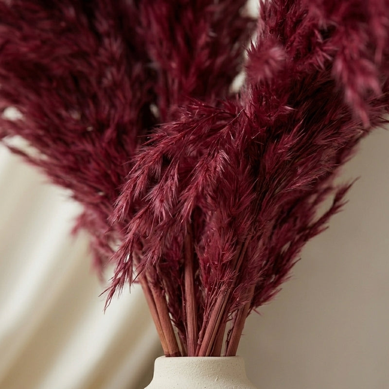 Puffy Fibre Artificial Pampas Stems - 2.62 ft (Red) media 3