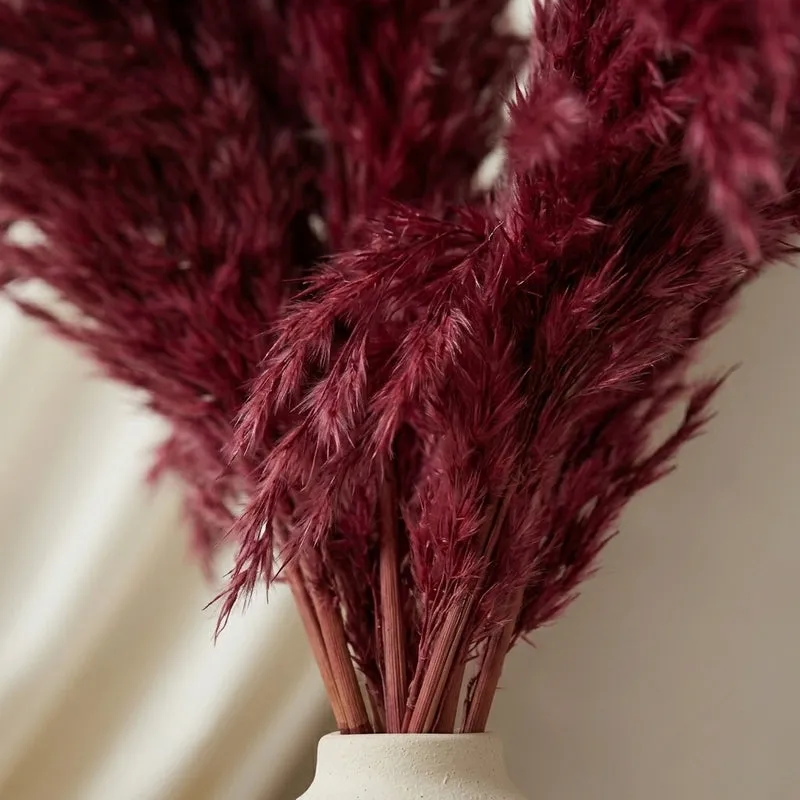 Puffy Fibre Artificial Pampas Stems - 2.62 ft (Red) media 3