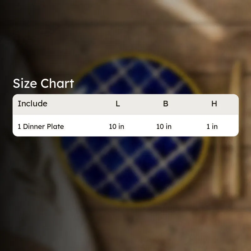 ServeLine Ceramic Dinner Plate media 9