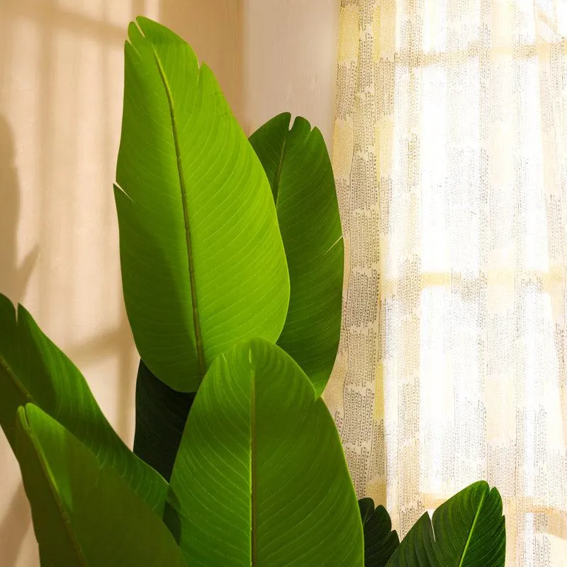 Artificial Banana Tree With Black Plastic Pot - 5.9 Feet media 7